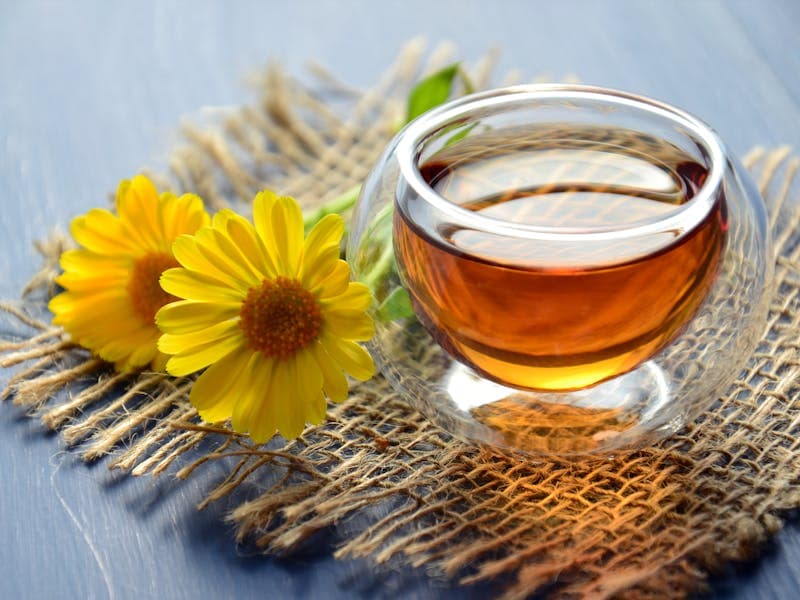 EGCG and Metabolism: How Green Tea Catechins Amplify Fat Burning and Thermogenesis