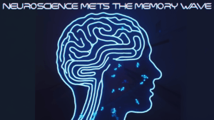 Neuroscience Meets The Memory Wave