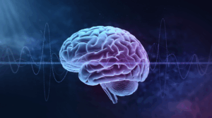 The Gama Brain Wave